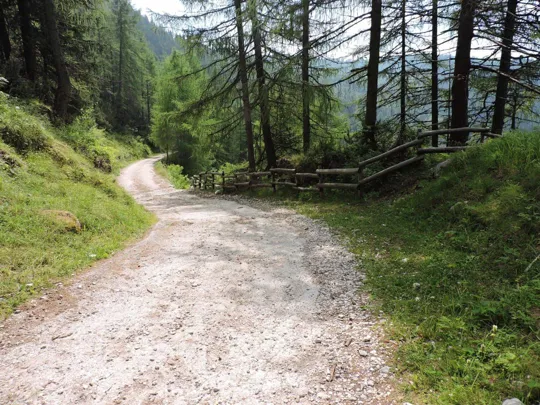 Corno Battisti - strada di ritorno