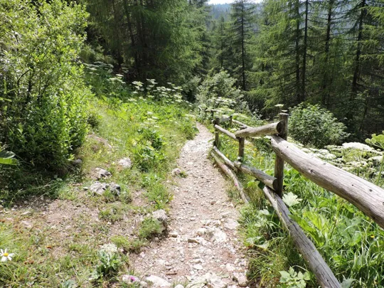 Corno Battisti - strada di ritorno