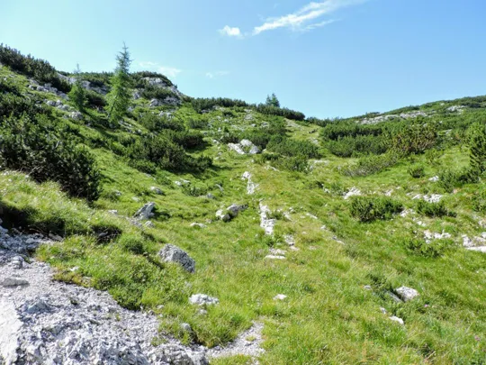 Sentiero per  Corno di Campo Verde