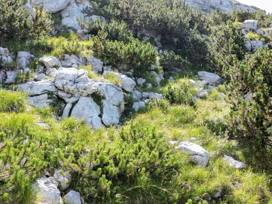 Sentiero per Corno di Campo Verde