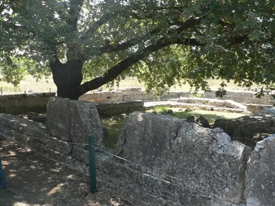 Dodona - nuovo tempio di Dione