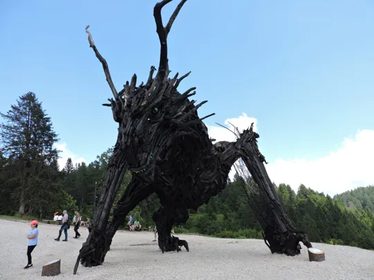 Drago Vaia Regeneration