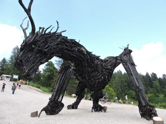 Drago Vaia Regeneration