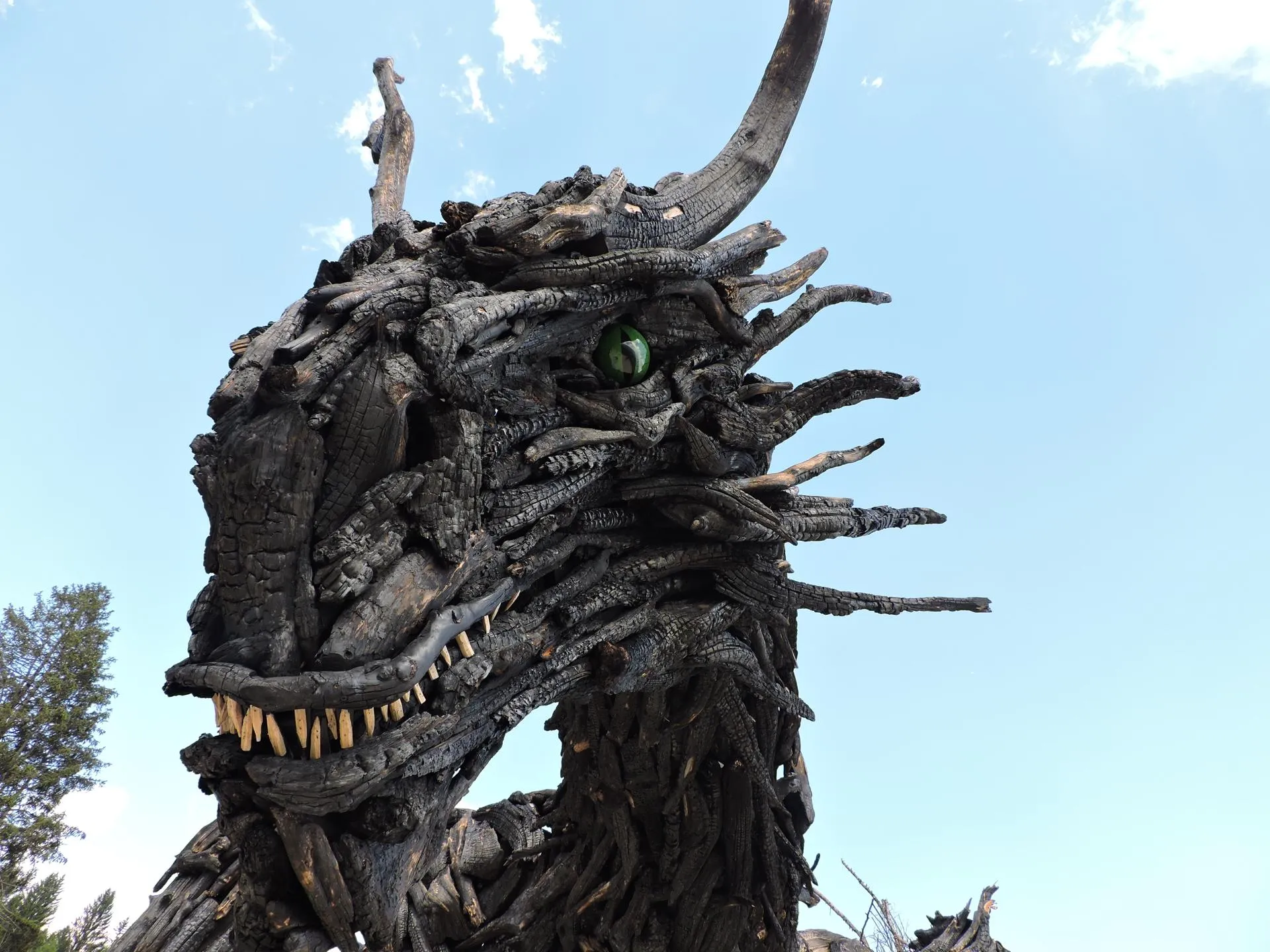 Drago Vaia Regeneration