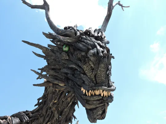 Drago Vaia Regeneration