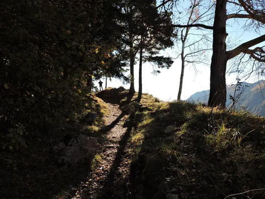 Forra del Lupo - dettaglio del sentiero