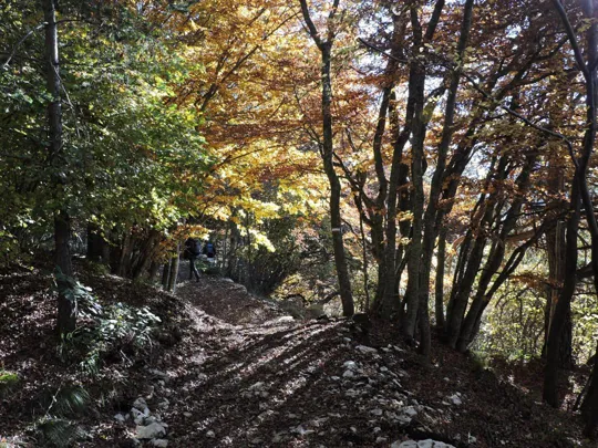 Forra del Lupo - dettagli del sentiero