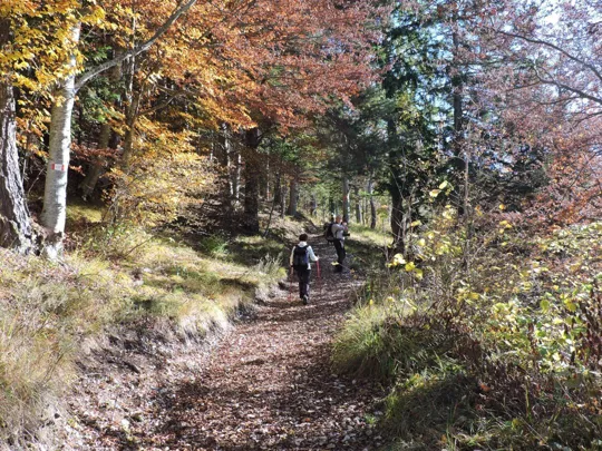 Forra del Lupo - dettagli del sentiero