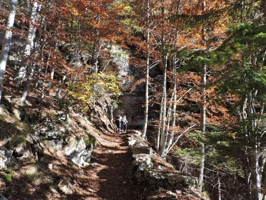 Forra del Lupo - dettagli del sentiero