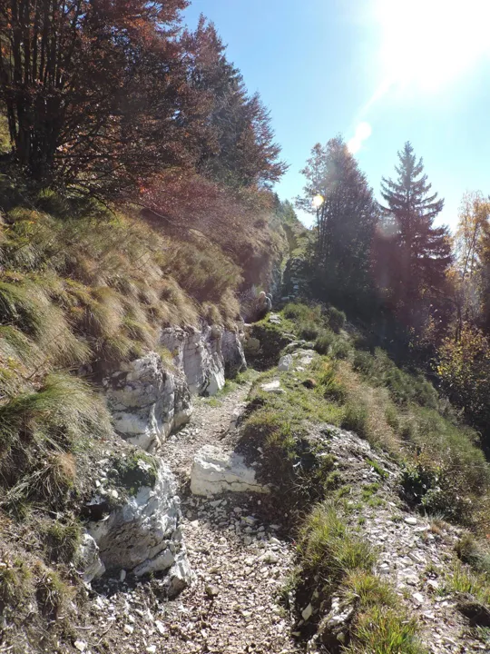 Forra del Lupo - dettagli del sentiero