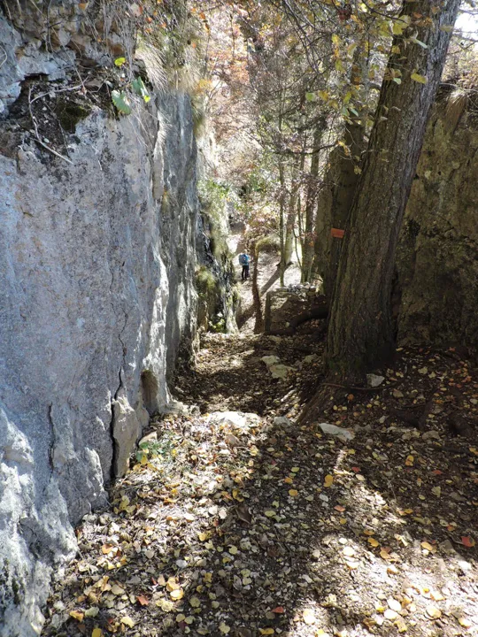 Forra del Lupo - dettagli del sentiero