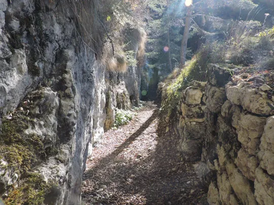 Forra del Lupo - dettagli del sentiero