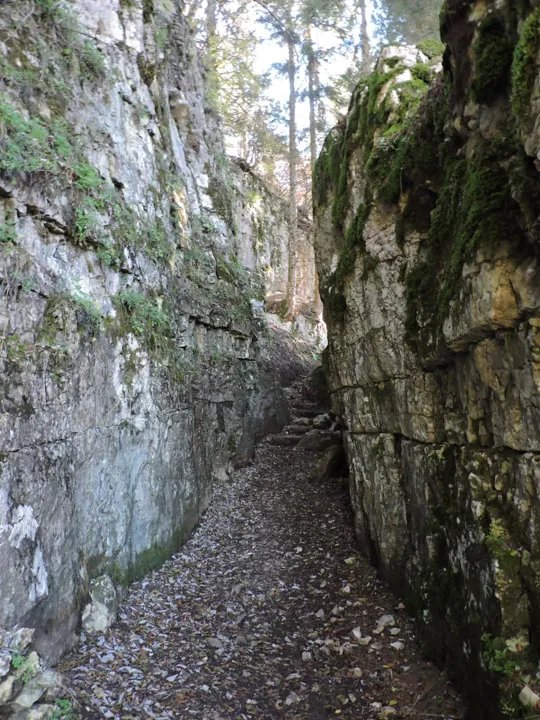 Forra del Lupo - dettagli del sentiero