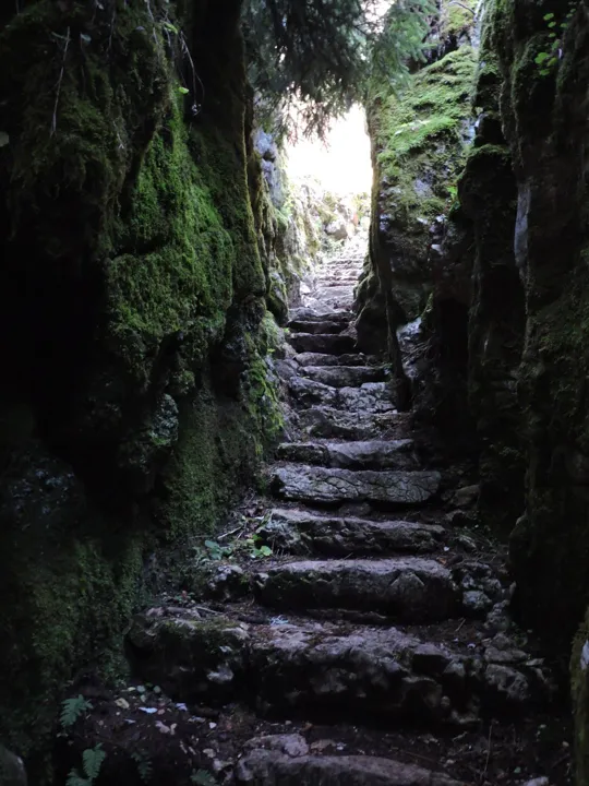 Forra del Lupo - dettagli del sentiero