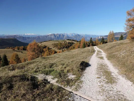 Forra del Lupo - strada di ritorno