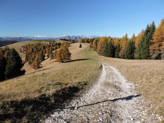 Forra del Lupo - strada di ritorno