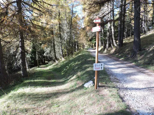 Forra del Lupo - segnaletiche da seguire