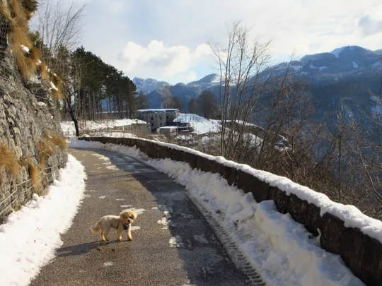 Strada di accesso al forte