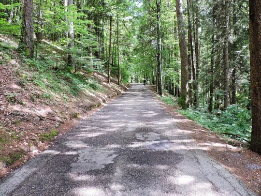 Forte Belvedere-Gschwent - Strada di accesso