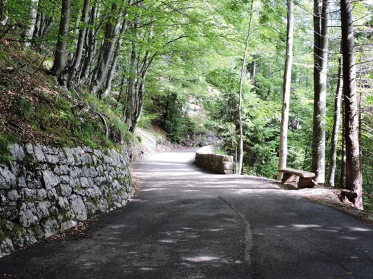 Forte Belvedere-Gschwent - Strada di accesso