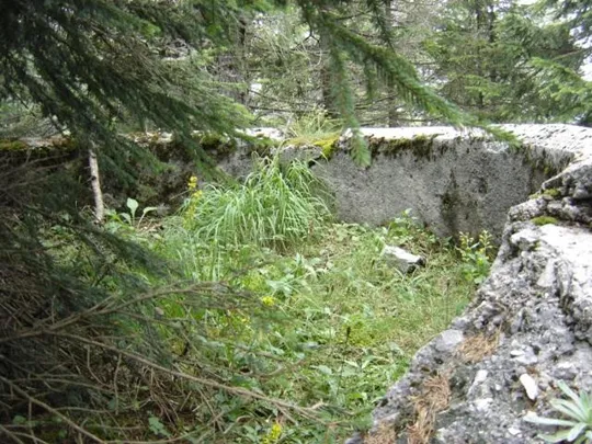 Forte Campolongo - Muro di difesa e trincea armata