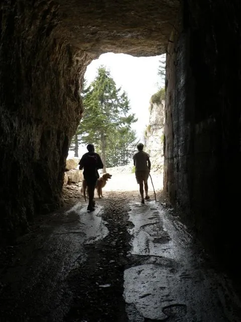 Forte Campolongo - Galleria d'ingresso