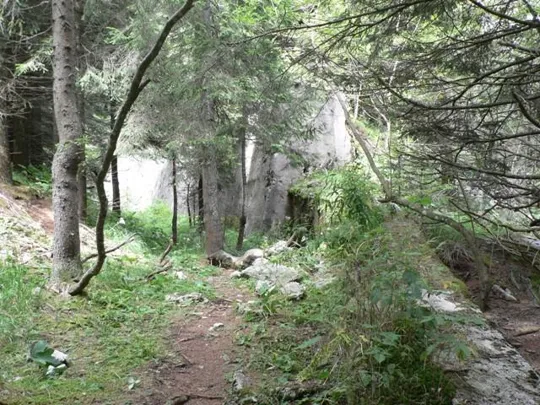 Forte Campolongo - Muro di difesa e trincea armata