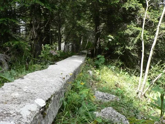 Forte Campolongo - Muro di difesa e trincea armata