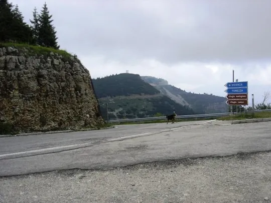 Forte Campomolon - strada di accesso (Valico di Valbona)
