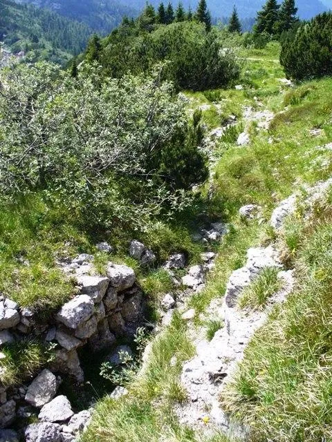 Forte Campomolon - trinceramenti