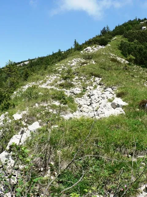 Forte Campomolon - trinceramenti