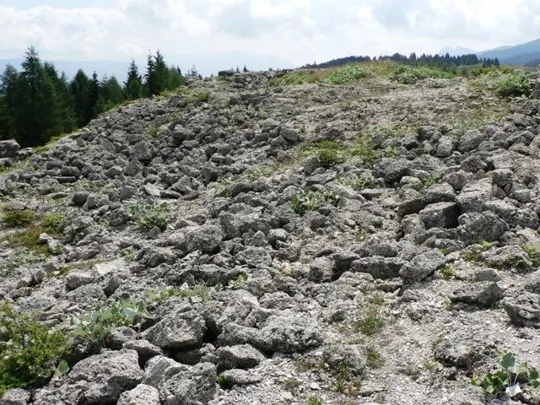 Forte Cherle - Resti della copertura