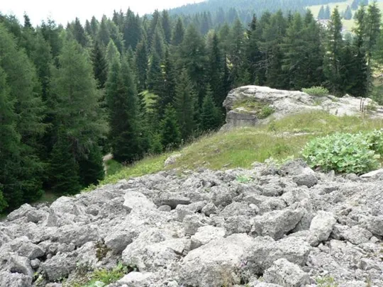 Forte Cherle - Casamatta principale