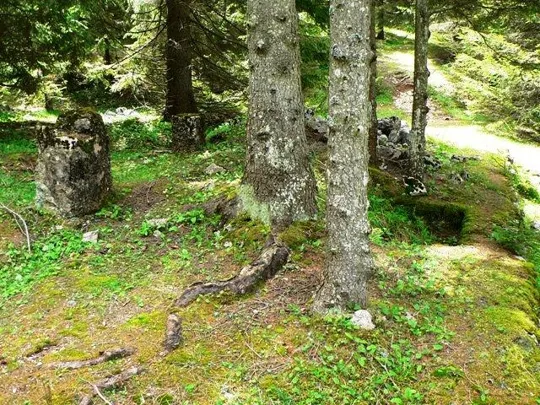 Forte Luserna - resti nei pressi del forte