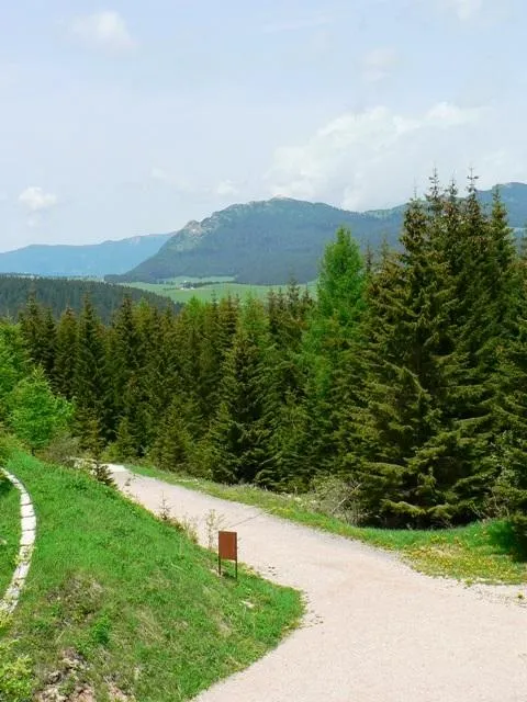 Forte Luserna - Ultimo pezzo di strada