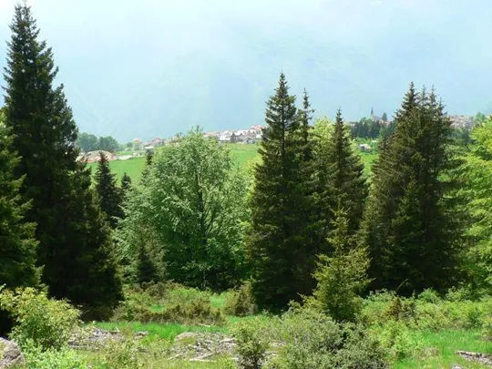 Forte Luserna - Luserna