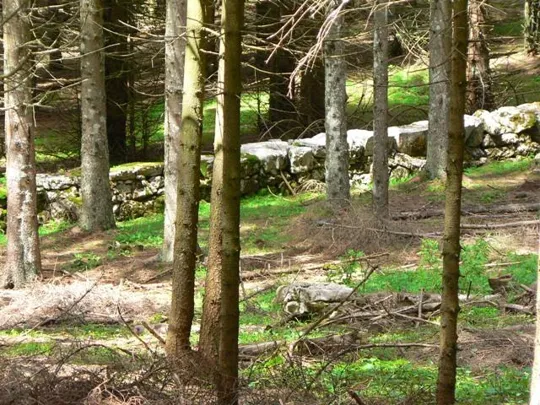 Forte Luserna - avamposto Oberwiesen - Muretto difensivo