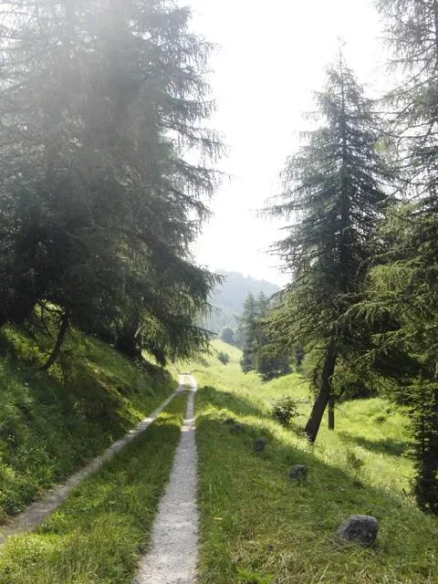 Forte Serrada - Strada di accesso