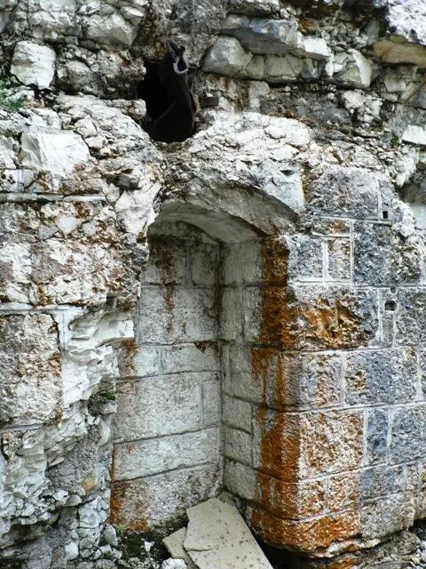 Forte Serrada - Particolari sulla distribuzione