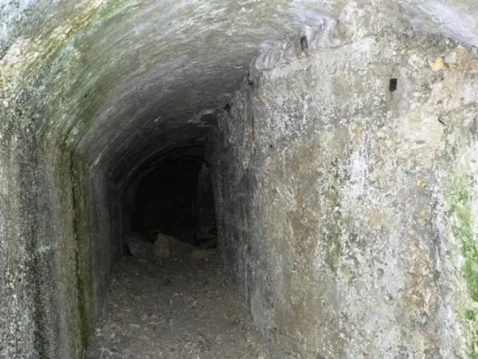 Forte Serrada - Particolari sulla distribuzione