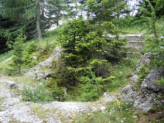 Forte Sommo Alto - Postazioni Avanzate