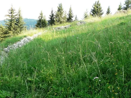 Forte Sommo Alto - Trincea