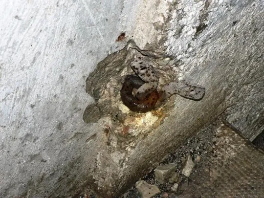 Forte Sommo Alto - Dettagli