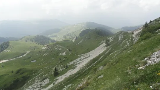 M.Grappa - Galleria Vittorio Emanule III