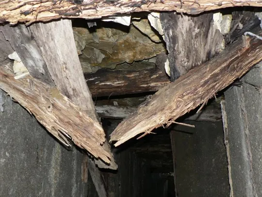 M.Grappa - Galleria Vittorio Emanule III