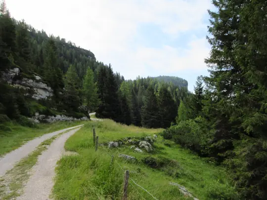 La strada verso malga Zingarella