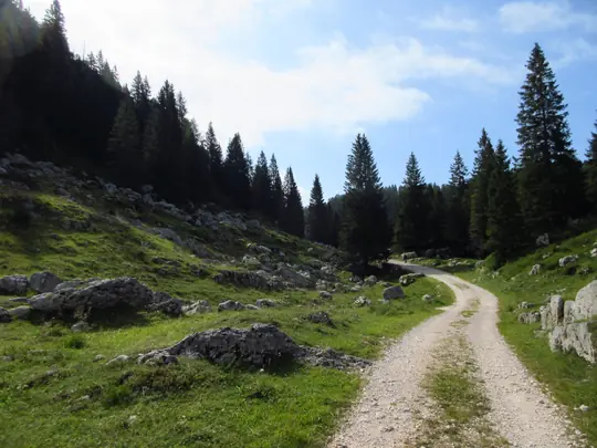 Dettaglio della strada
