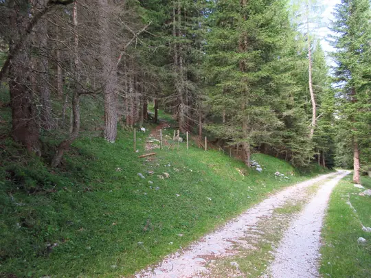 Dettaglio dell'inizio del sentiero