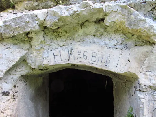 Dettaglio dell'incisione
