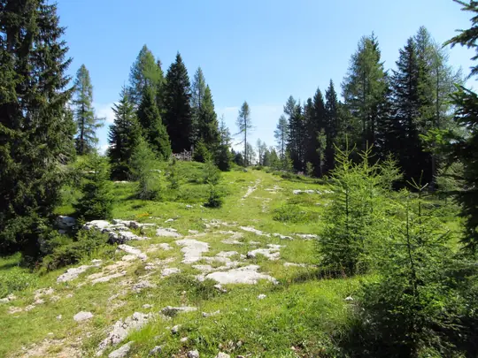 Dettaglio della strada